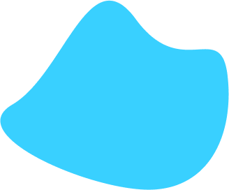 Custom Web Application Development in Tamil Nadu